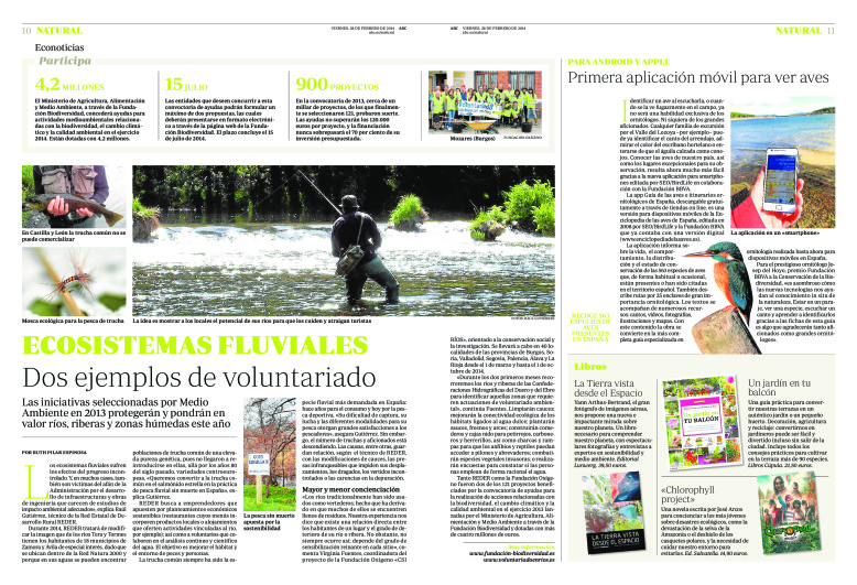 miniatura pdf