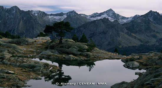 Desarrollo de un sistema informático de soporte a la decisión para el análisis del valor de conservación del bosque (Pirineos Orientales)
