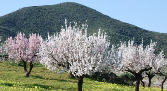 Agricultores por la naturaleza