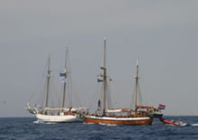 Activities for the conservation of biodiversity in the Alboran Sea