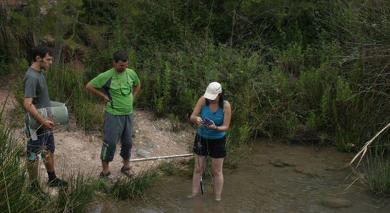 Proyecto AMPHIBIA