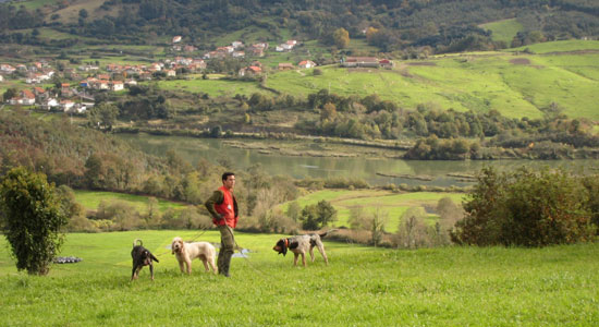 Un hombre paseando con sus perros por uno de los espacios recuperados del Anillo Verde de Santander