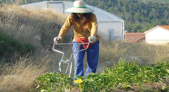 Mujer agricultora trabajando en su huerto