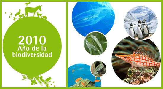 Exposición itinerante y virtual conmemorativa del Año de la Biodiversidad