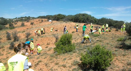 Un grupo de voluntariados en los labores de limpieza de un monte