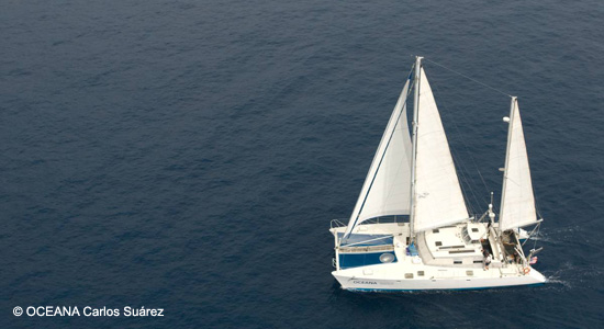 El velero de la Fundación Oceana, Oceana Ranger, surcando aguas canarias