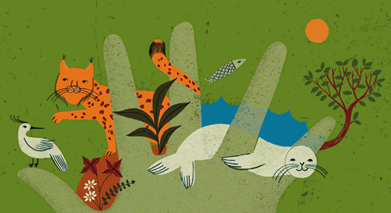 Ilustración de Marta Antelo para la Conferencia