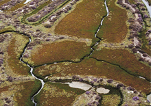 The MARM begins a course on hydrological-forest restoration and forest erosion control