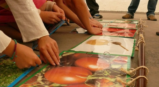 Participantes en una de la muchas actividades para la difusión sobre los productos derivados de fincas agrarias en custodia.