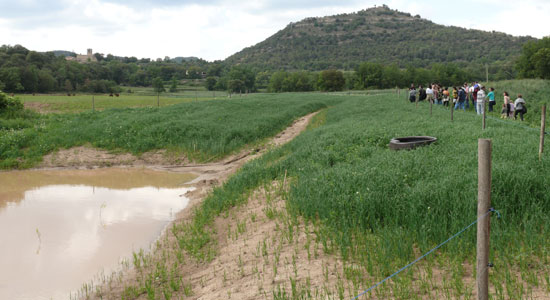Escolares en una salida a campo con prado en primer plano y montaña al fondo