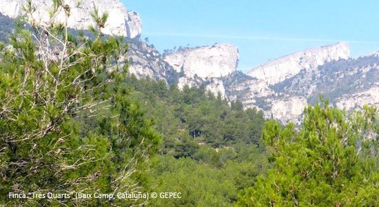 Impulsar la custodia del territorio como herramienta de conservación en Europa: actividades de difusión y comunicación