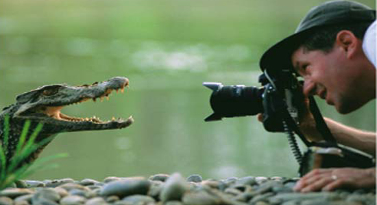 Un fotógrafo de la naturaleza, enfocando a un cocodrilo