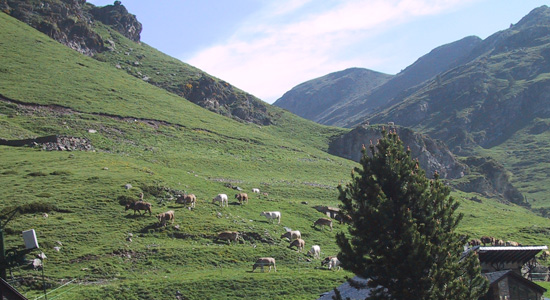 ecoTURAL: turismo rural, natural y cultural