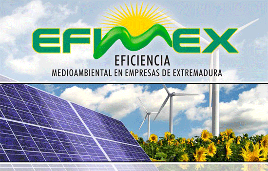 Portal del proyecto EFIMEX. Logotipo sobre una imagen de campo de girasoles con aerogeneradores y paneles solares