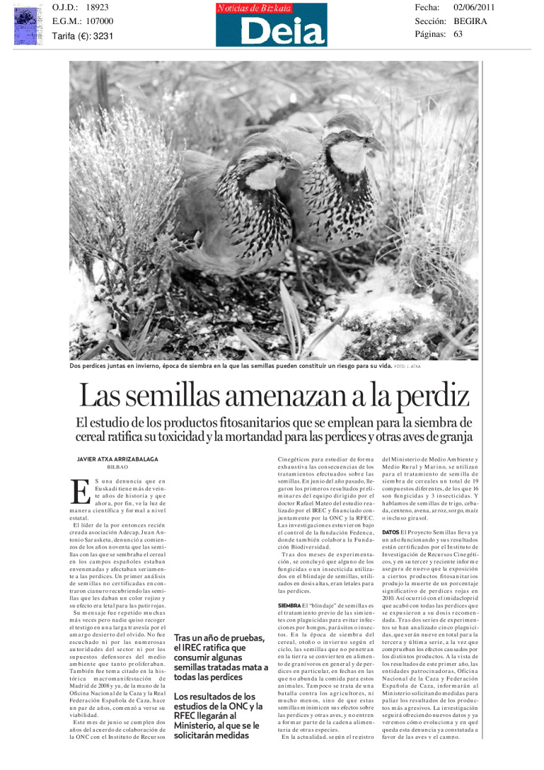 miniatura pdf