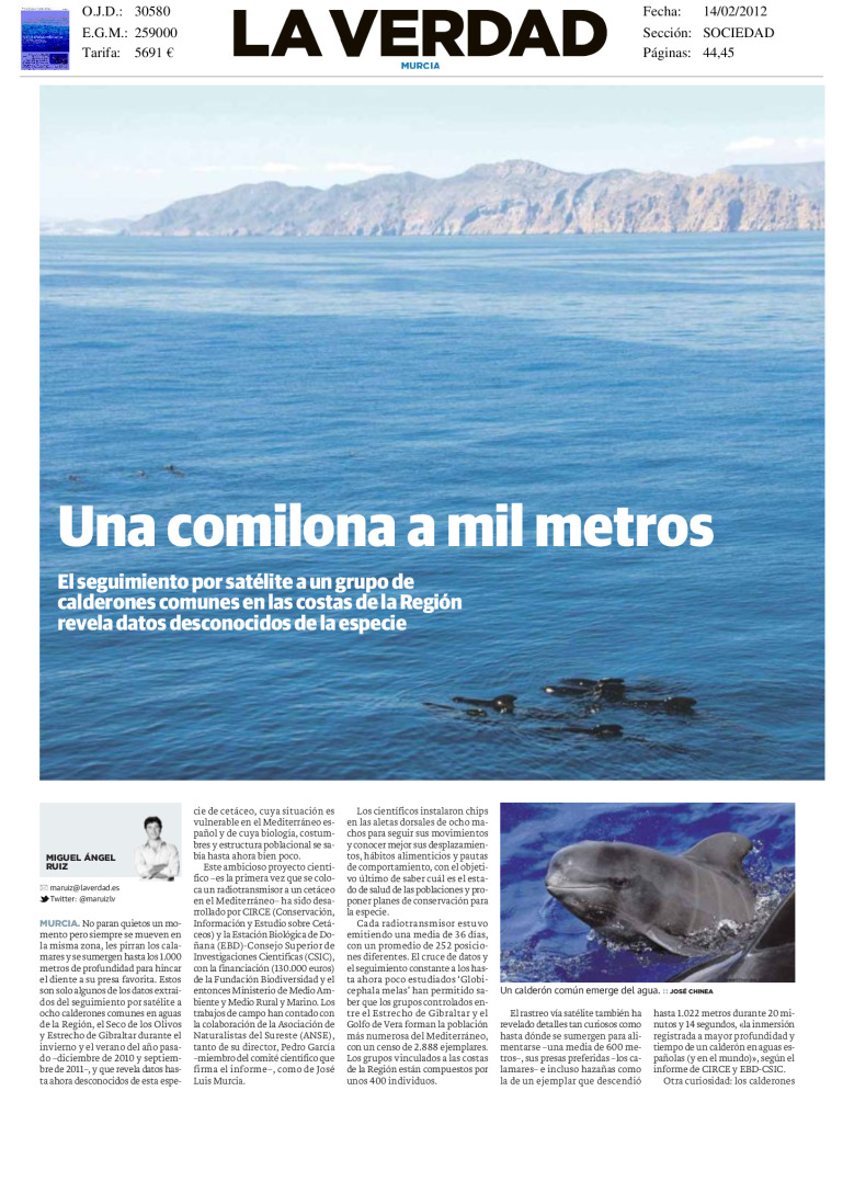 miniatura pdf