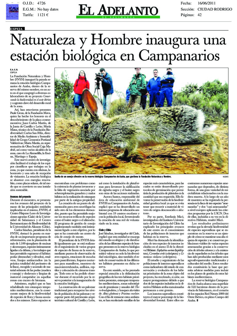 miniatura pdf