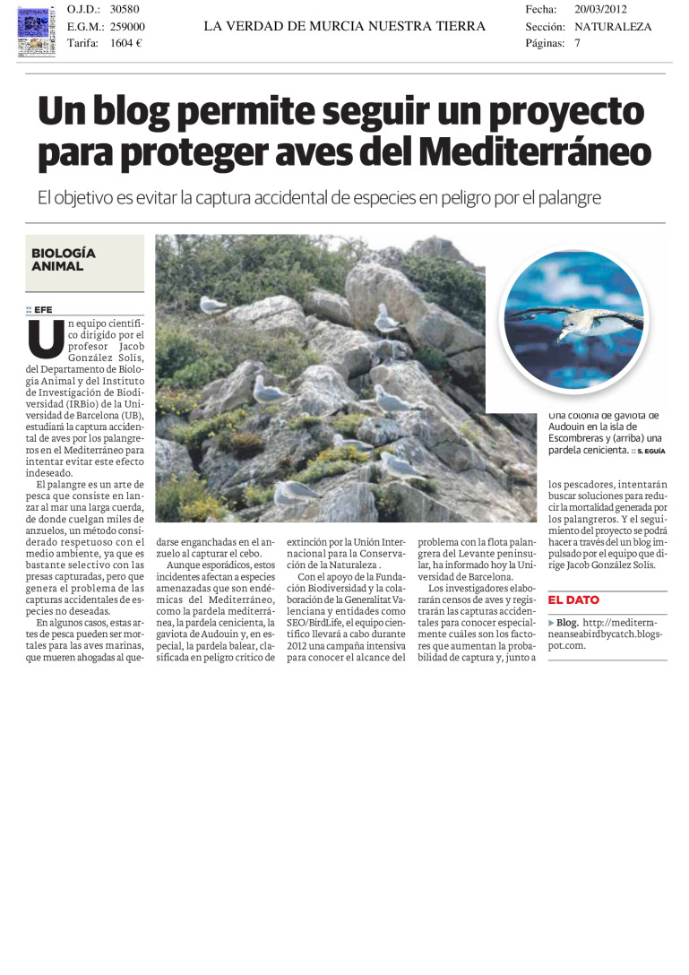 miniatura pdf