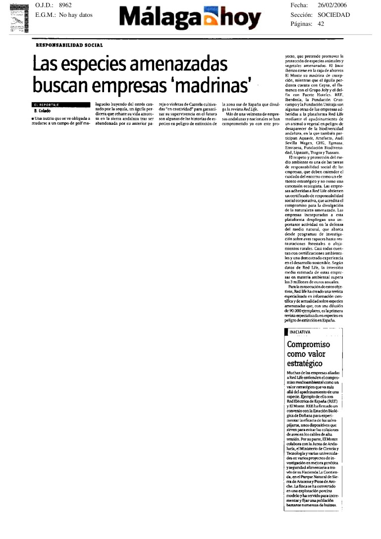 miniatura pdf