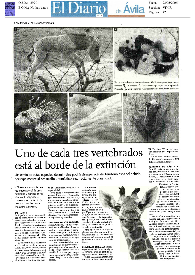 miniatura pdf