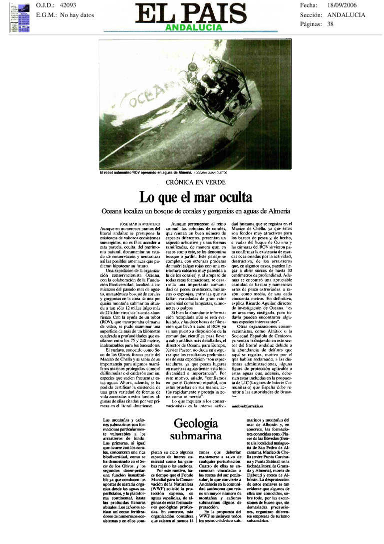 miniatura pdf