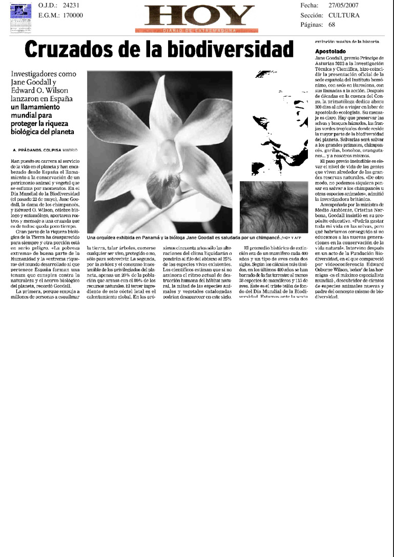 miniatura pdf