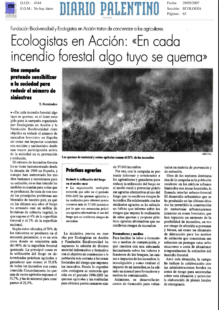 miniatura pdf