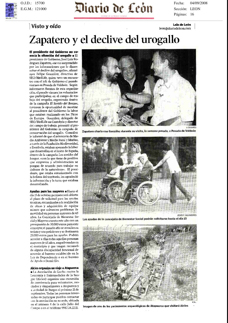miniatura pdf