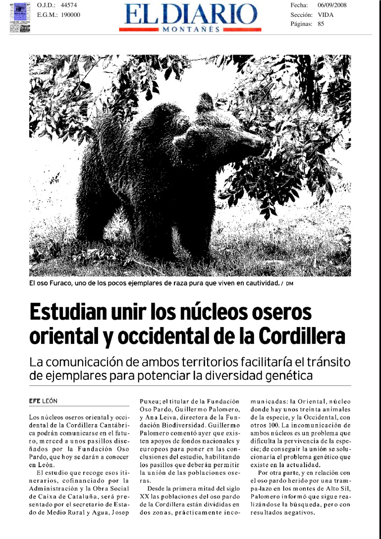 miniatura pdf