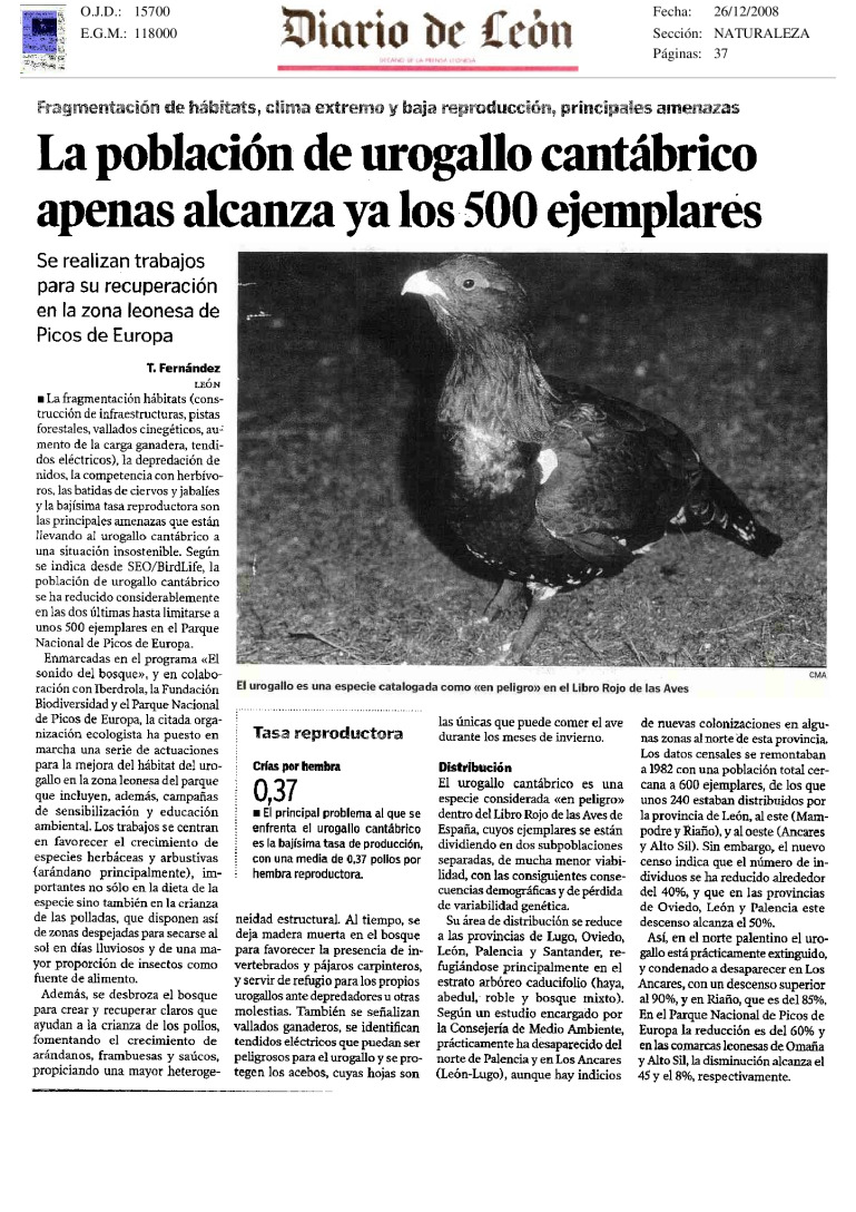 miniatura pdf
