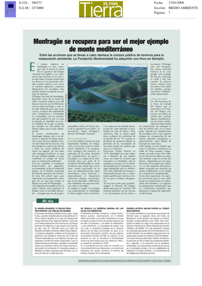 miniatura pdf