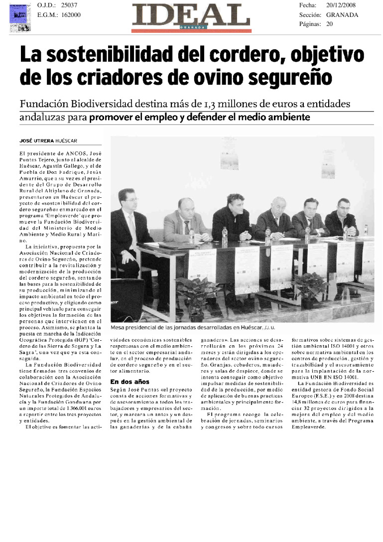 miniatura pdf