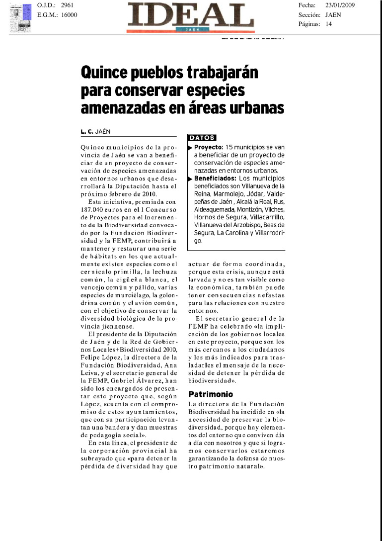 miniatura pdf