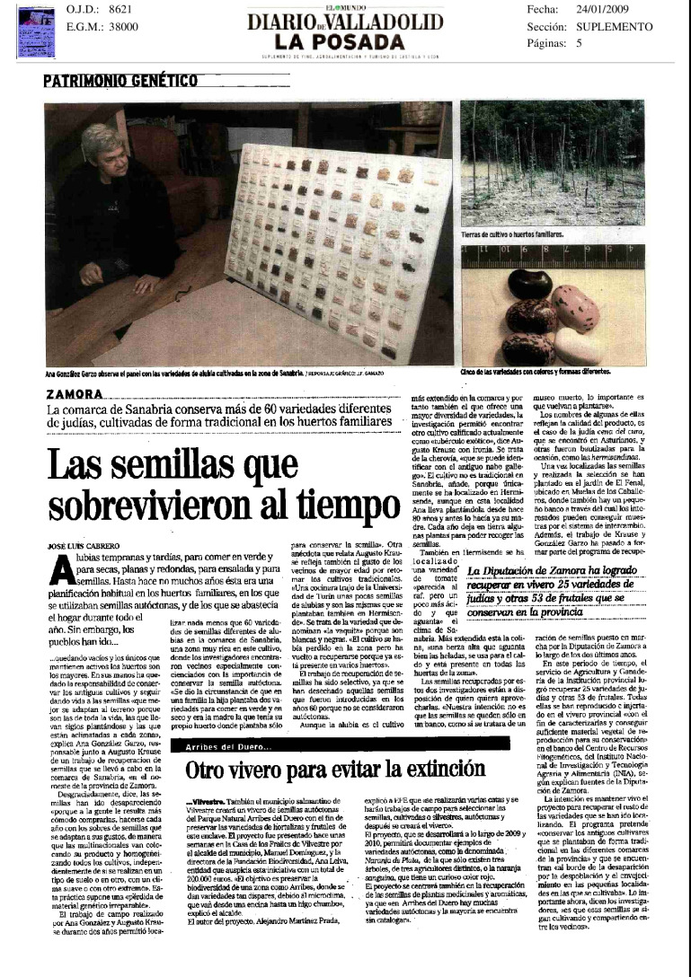 miniatura pdf