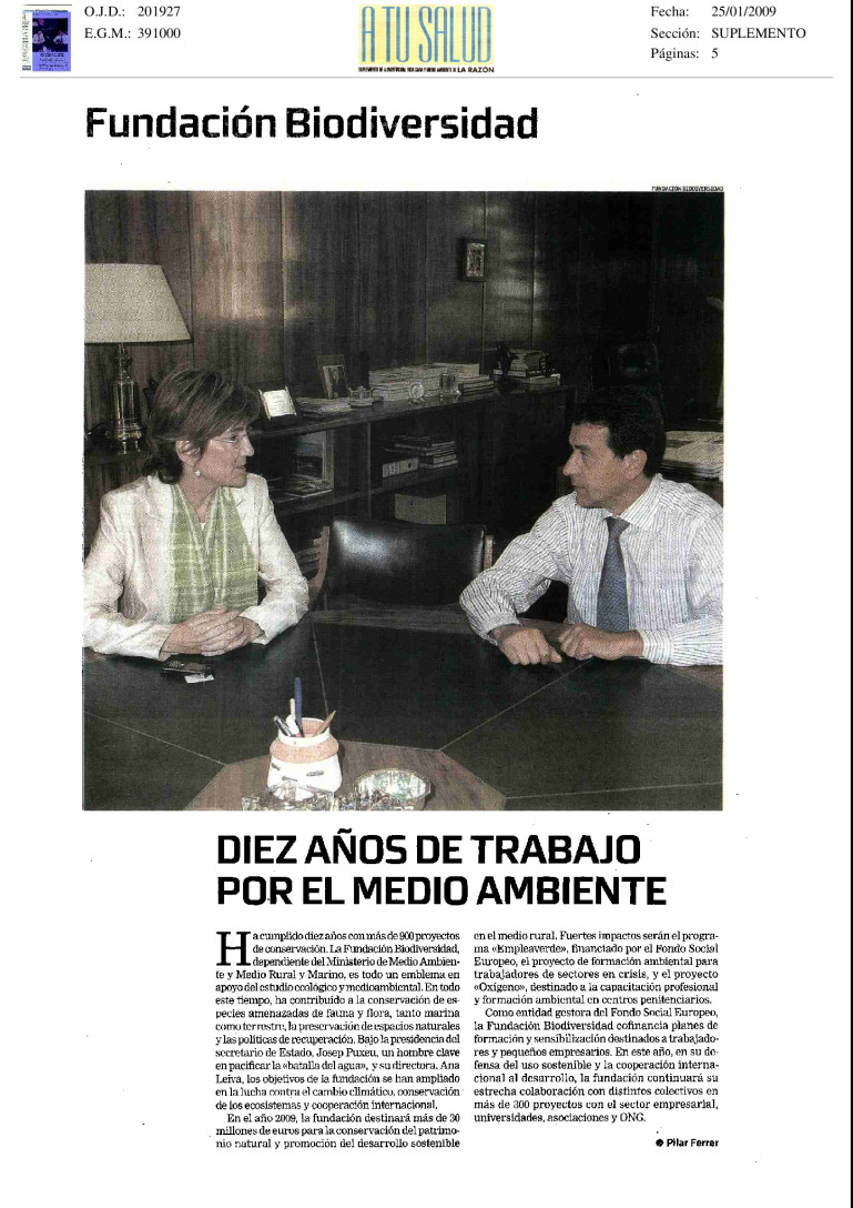 miniatura pdf