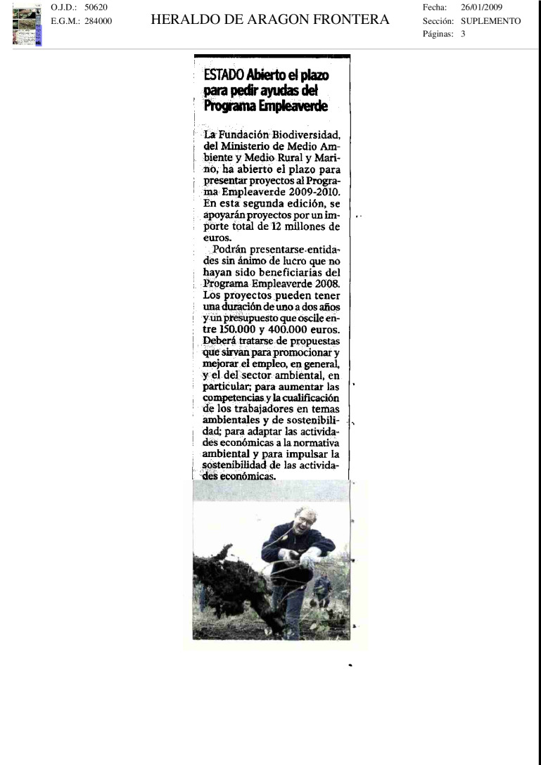miniatura pdf