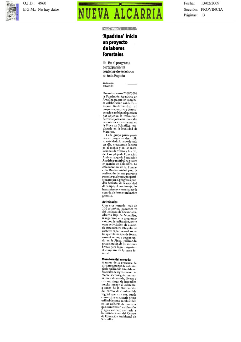 miniatura pdf