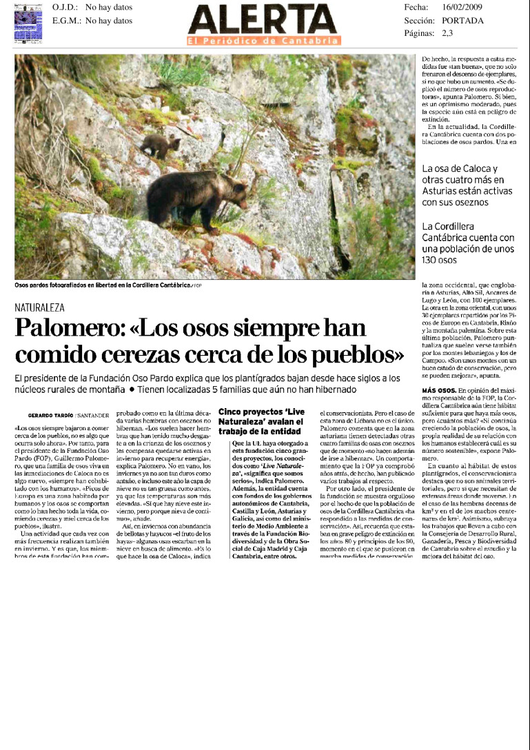 miniatura pdf