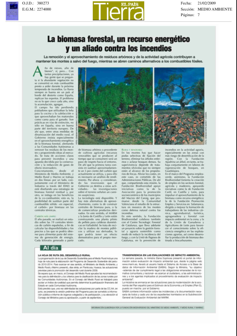 miniatura pdf