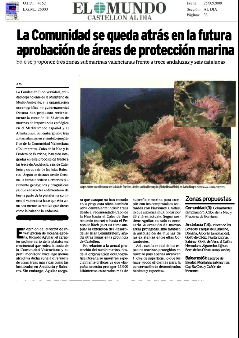 miniatura pdf