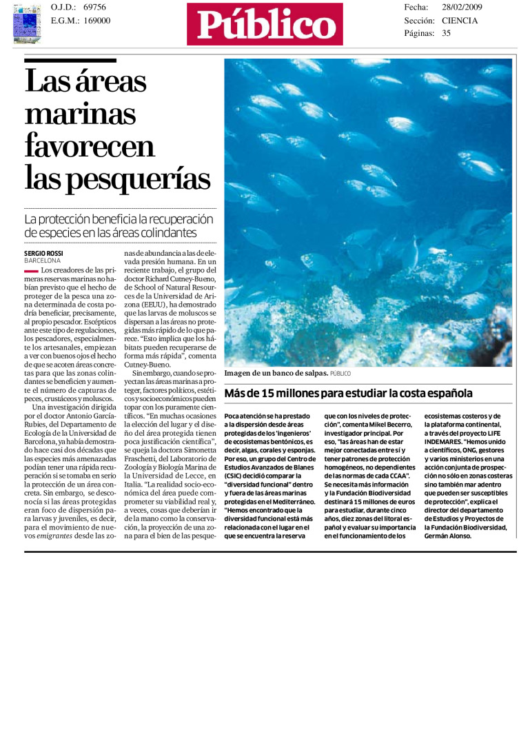 miniatura pdf