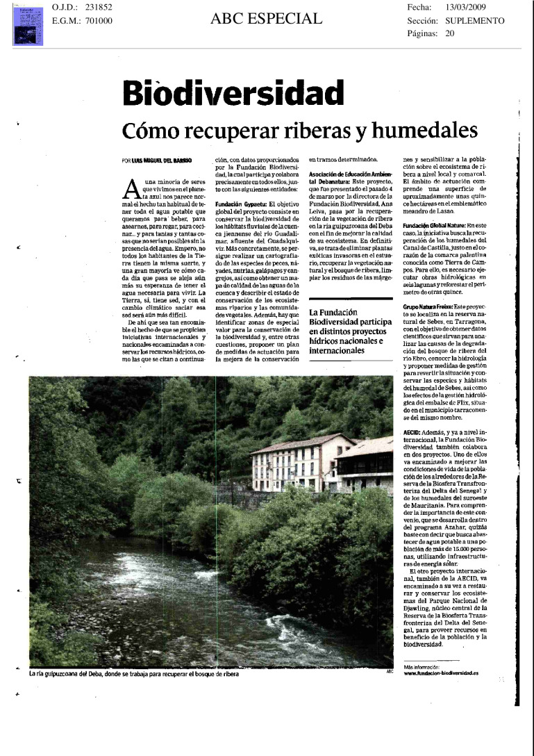 miniatura pdf