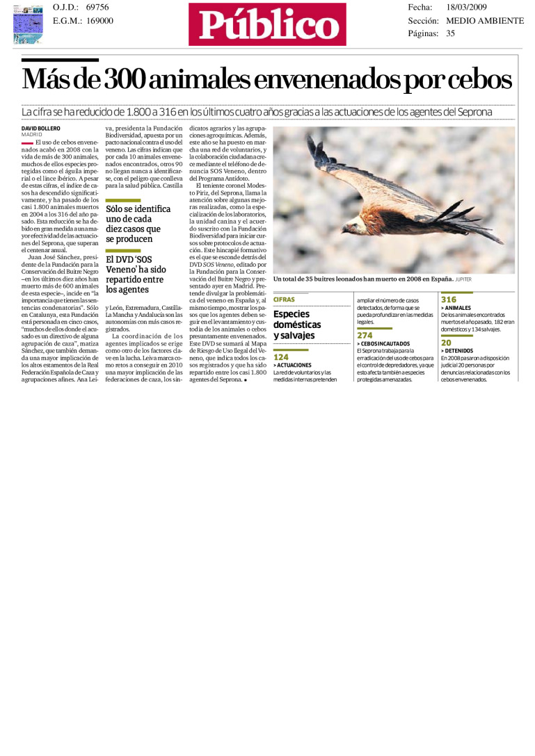 miniatura pdf