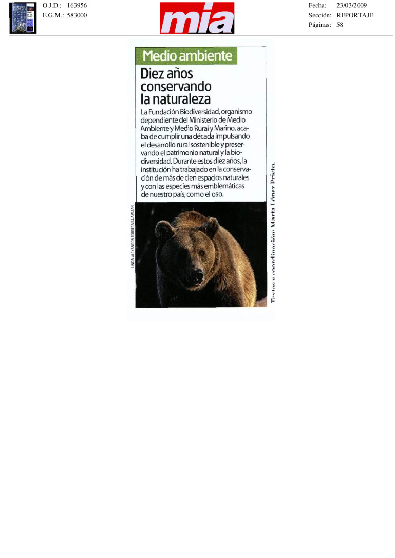 miniatura pdf
