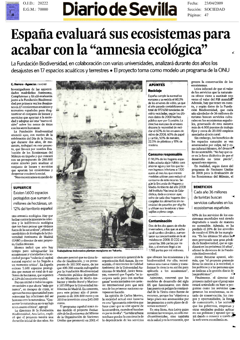 miniatura pdf