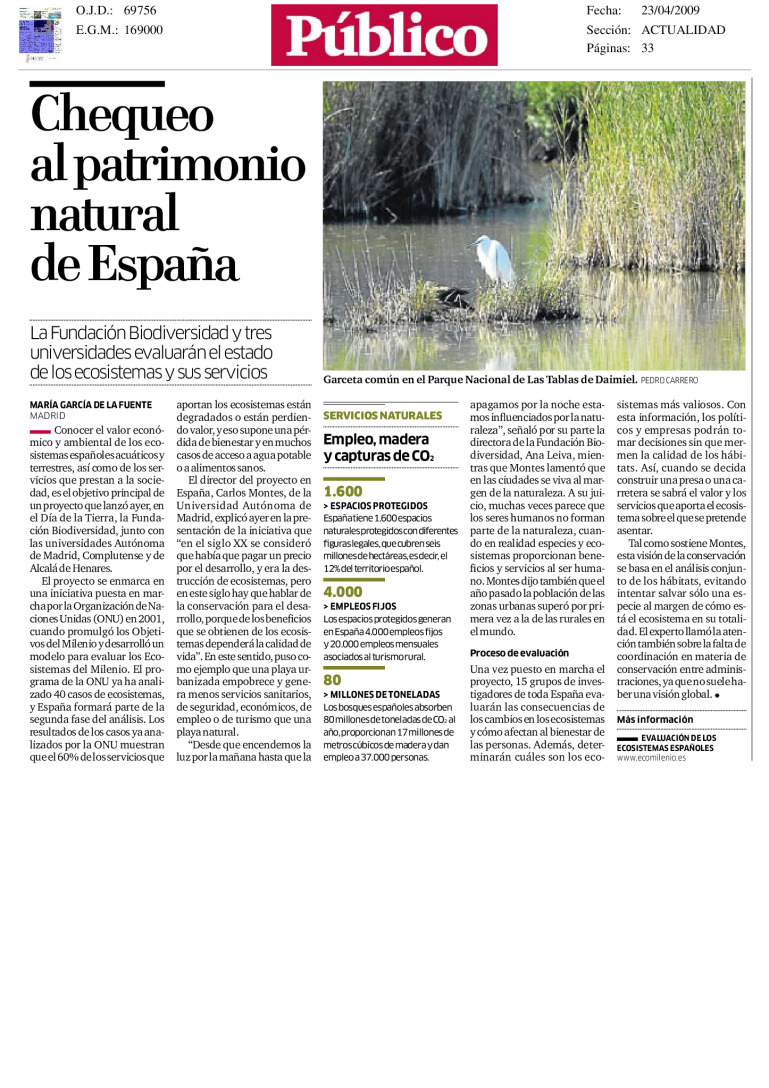 miniatura pdf