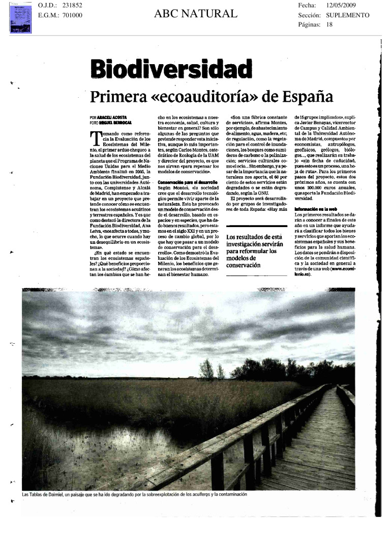 miniatura pdf