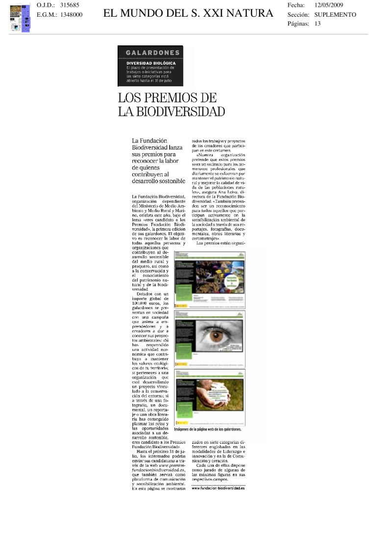 miniatura pdf