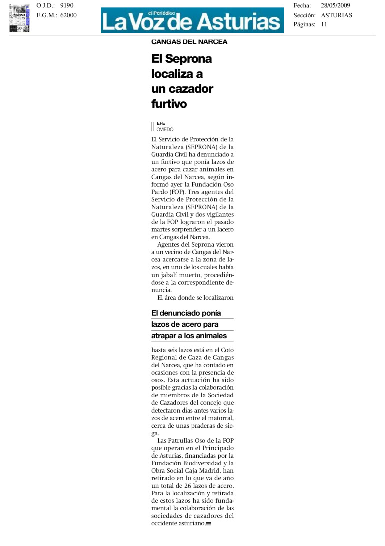 miniatura pdf