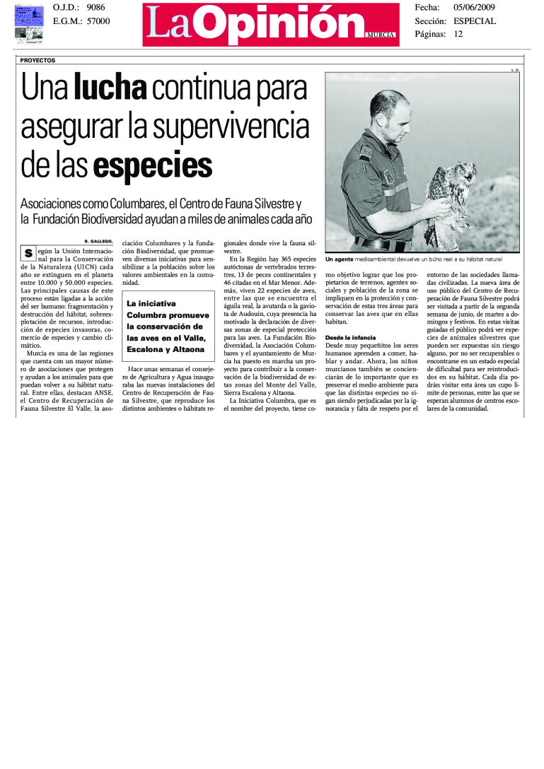 miniatura pdf